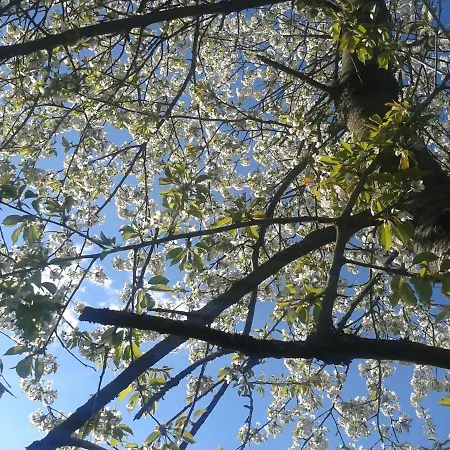 Les Monts D'aisne Couette-café