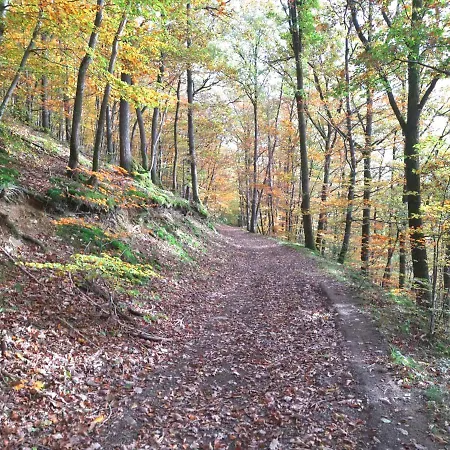 Les Monts D'aisne Couette-café